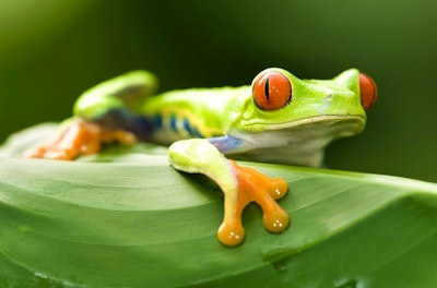 Costa Rica for Families image 2