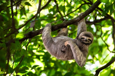 Costa Rica for Families image 3