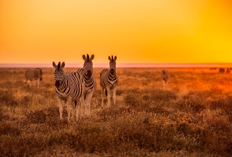Classic Namibia Self-Drive Holiday image 1