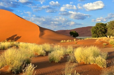 Classic Namibia Self-Drive Holiday image 2