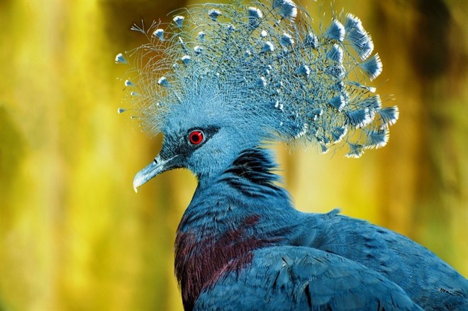 Highlights of Papua New Guinea & Solomon Islands image 2