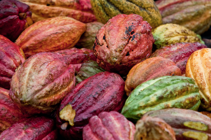 Cacao Beans, Grenada
