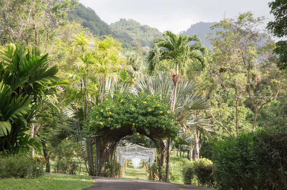 Botanical Garden, St Vincent & The Grenadines