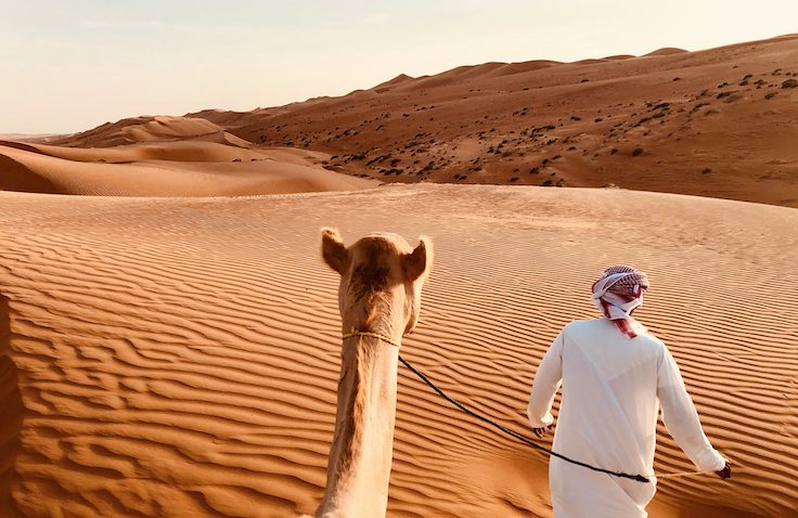 Camel ride, Abu Dhabi, UAE, Middle East