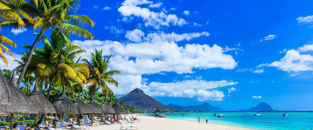 Mauritius palm trees and beach