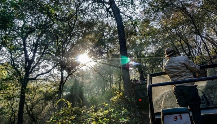 Tiger Safari, Ranthambore National Park, India