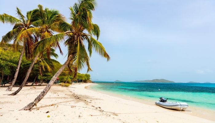 Beach with Palm Trees at Tobago Cays, Grenadines, Caribbean
