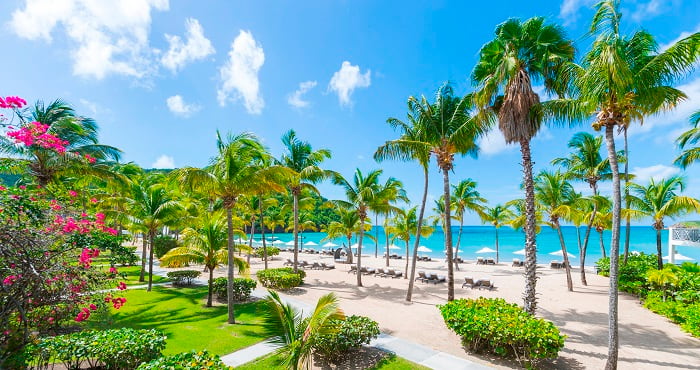 Beach at Carlisle Bay