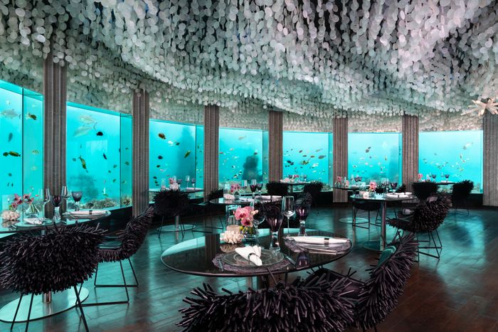 Underwater dining at Subsix Restaurant, Niyama