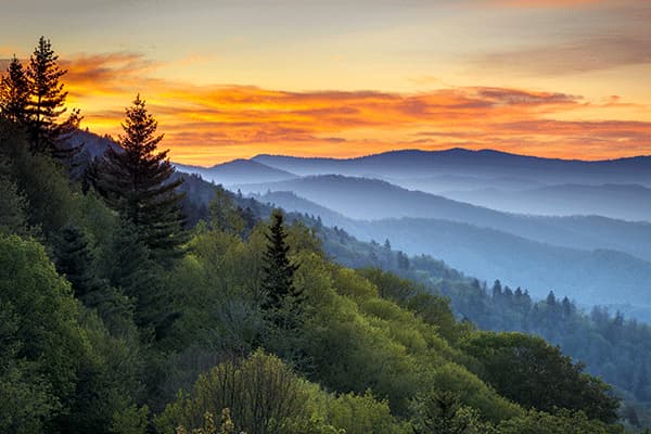 Great Smoky Mountains National Park, Tennessee - 124204390