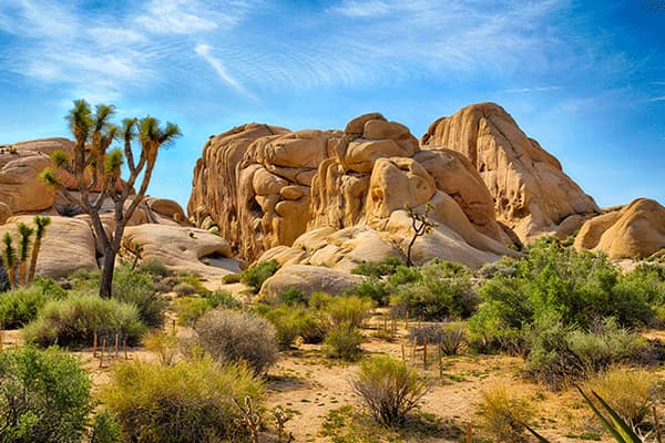 Joshua Tree National Park, California