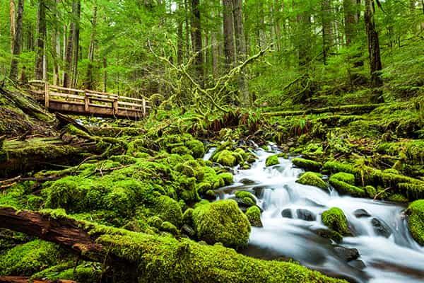 Olympic National Park, Washington