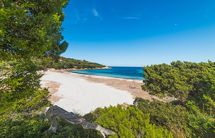 Beach view of Cala Granu in Costa Smeralda, Sardinia, Italy