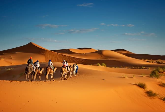 Camel rides in the desert at Wahiba Sands, Oman