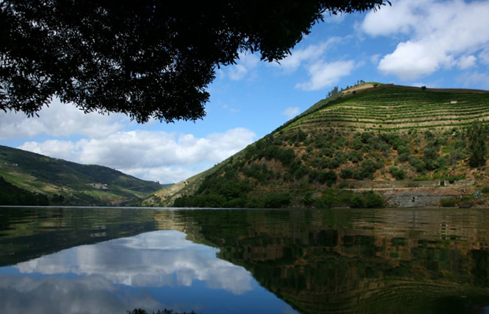 Duoro River in Duoro Valley, Portugal