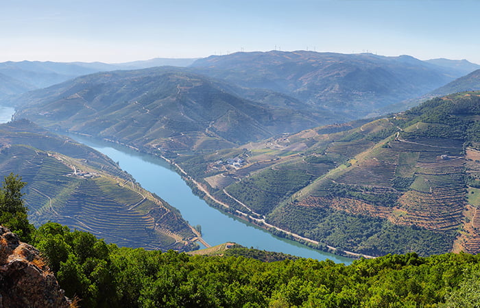 Landscape of Duoro Valley, Portugal