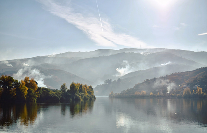 Autumn at Duoro Valley in Northern Portugal