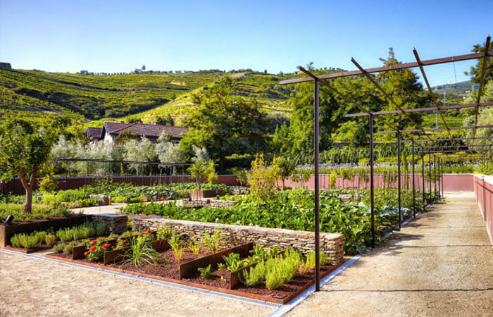 Organic Farm at the Six Senses Duoro Valley, Portugal