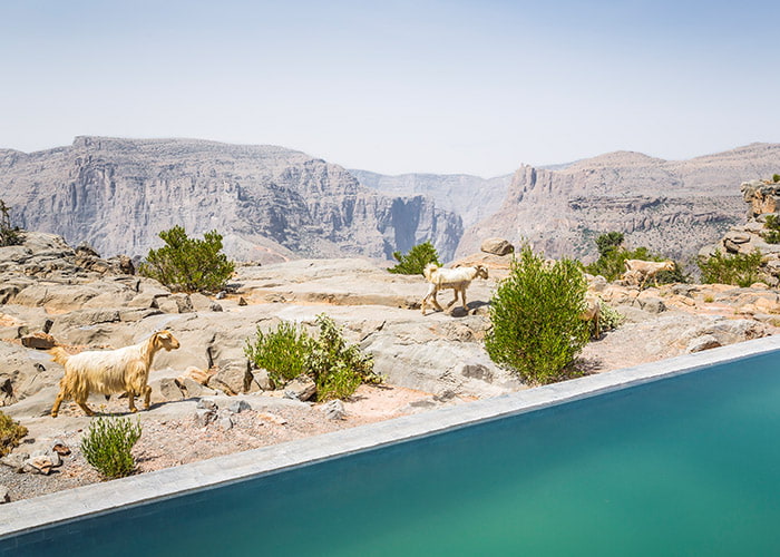 Pool at the Cliff Pool Villa at Anantara Al Jabal Al Akhdar, Oman 