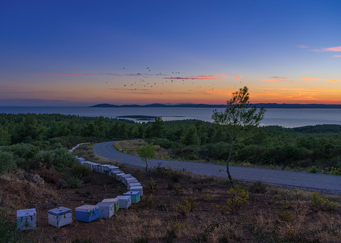 Dusk in Sithonia, Halkidiki, Greece