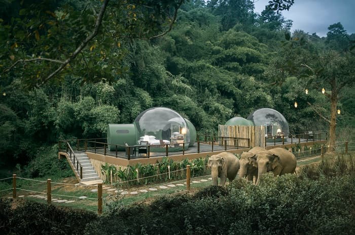 Jungle Bubble - Anantara Golden Triangle Elephant Camp & Resort, Thailand