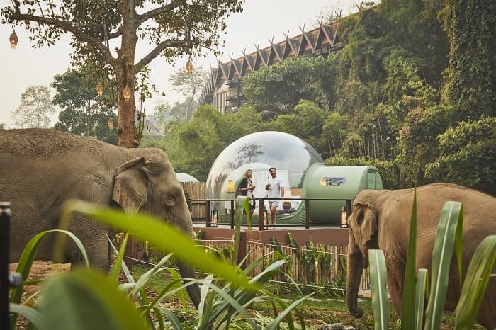 Jungle Bubble - Anantara Golden Triangle Elephant Camp & Resort, Thailand