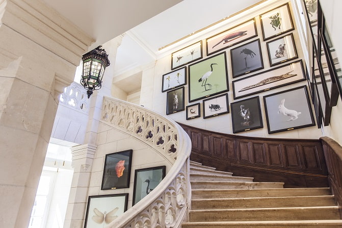 Framed pictures on the walls in hotel Domaine des Etangs.