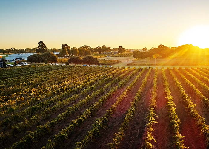 Swan River and Swan Valley Wine Region