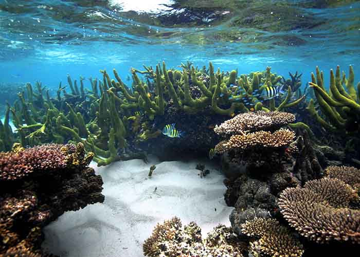 Ningaloo Reef, Western Australia