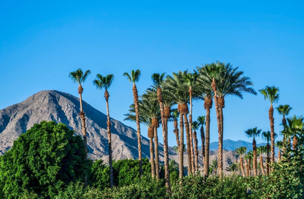 Palm Springs California