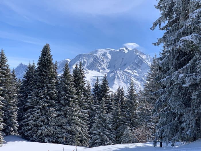 Exterior snowy pine trees and mountains in Megève