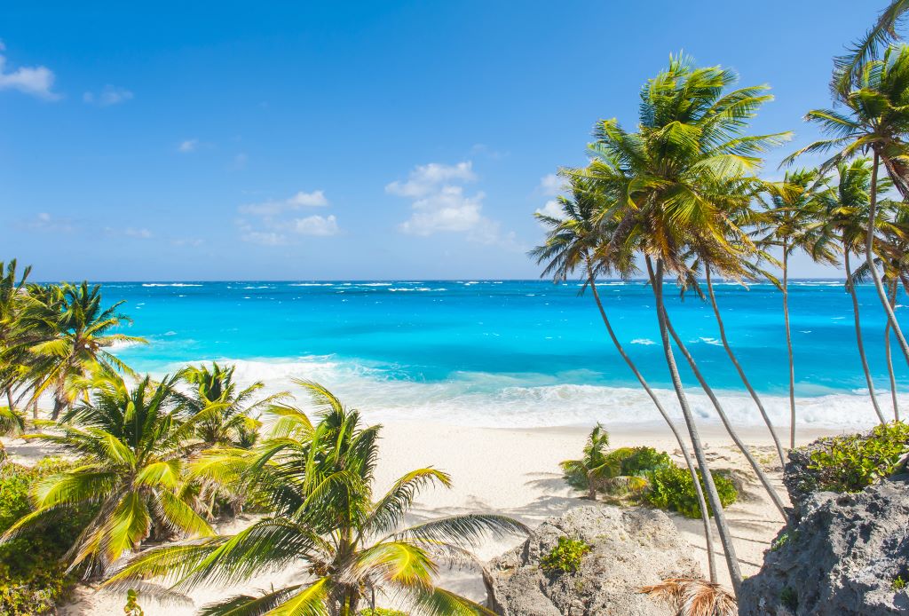 Barbados beach. 