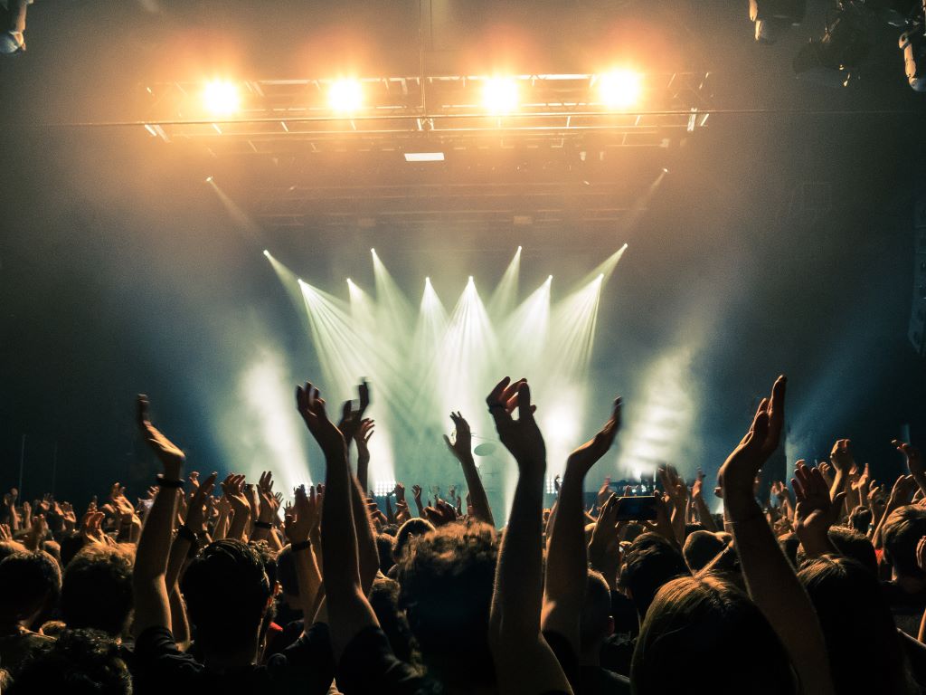 Concert goers facing stage 