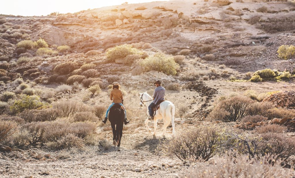 Two horse riders, California