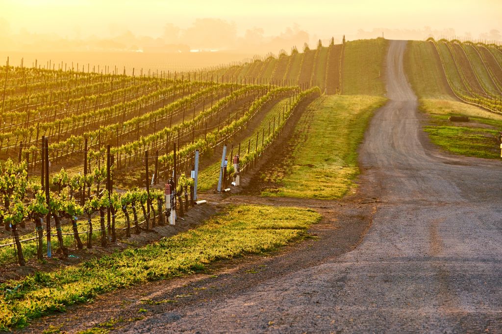 Napa Valley, California