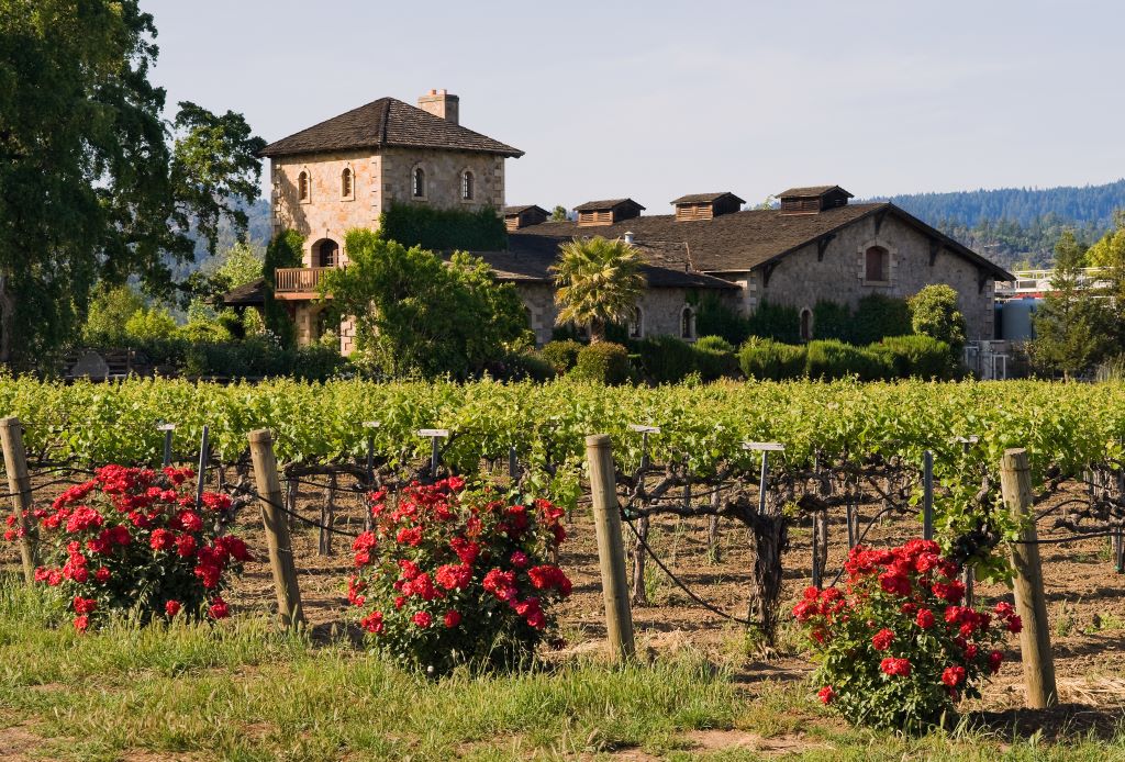 Wine estate in Napa Valley, California