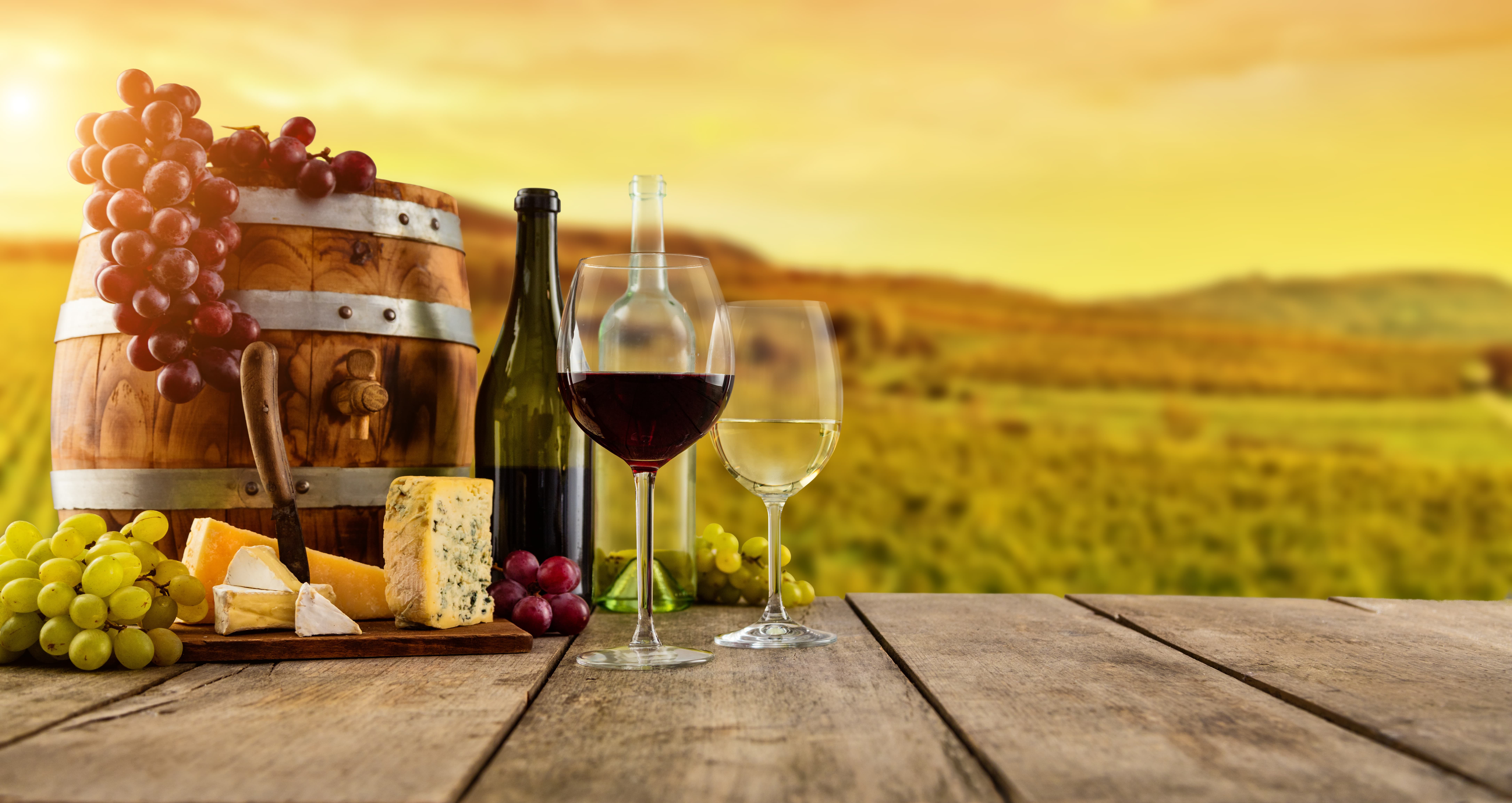 La Rioja wine spread